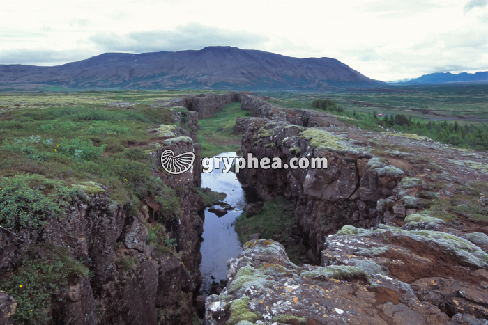 Fissure Thingwellir - gryphea.com